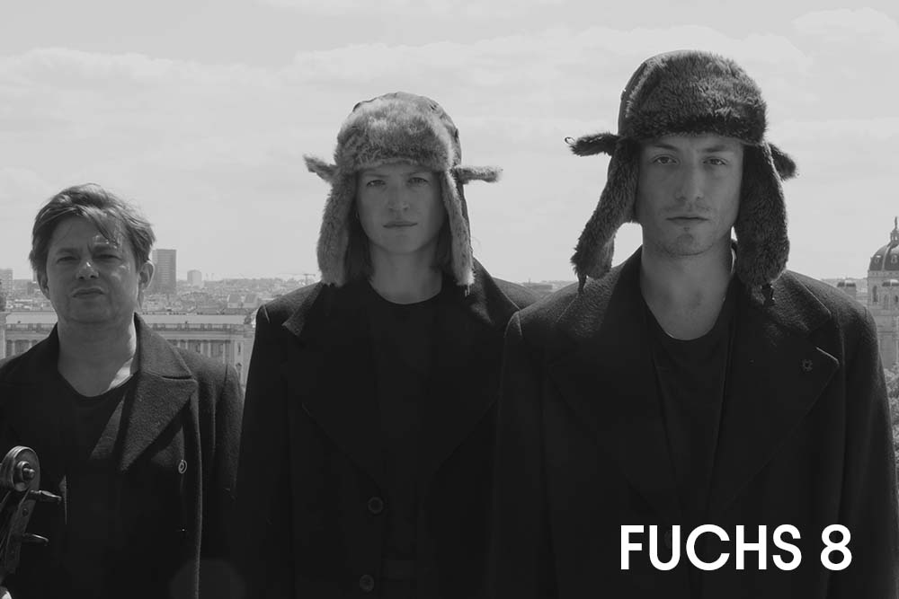 Teaser Fuchs 8