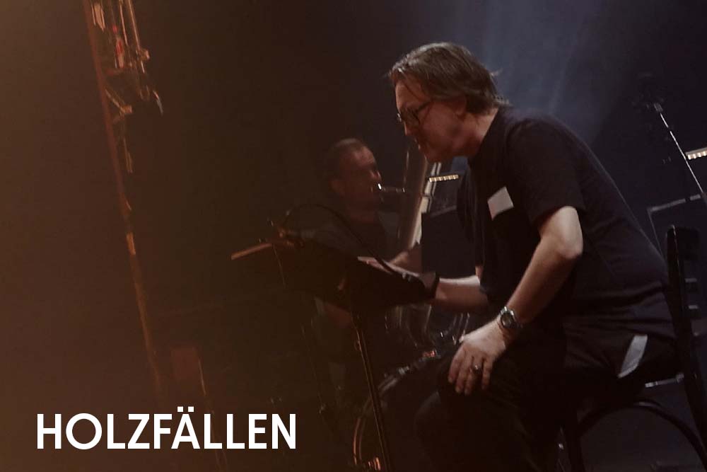 Teaser Holzfällen